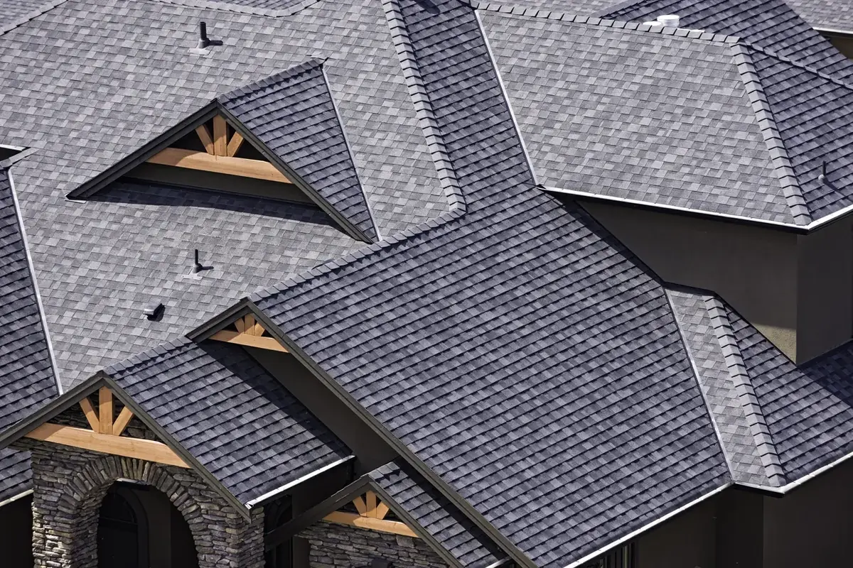 Roof cleaning