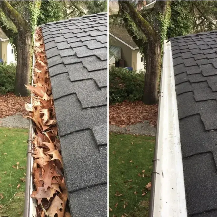 Gutter cleaning